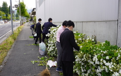 社内掃除に学ぶ会草むしり