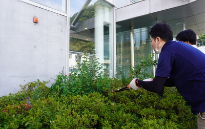 掃除に学ぶ会 草むしり